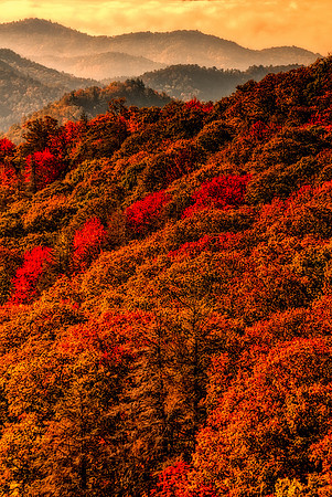 Landscapes