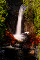 Landscapes