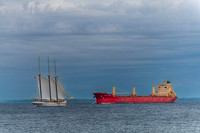 Marine - Ships