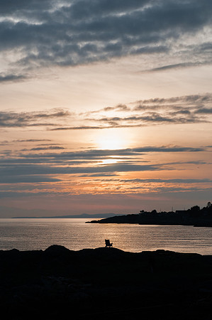 Landscapes