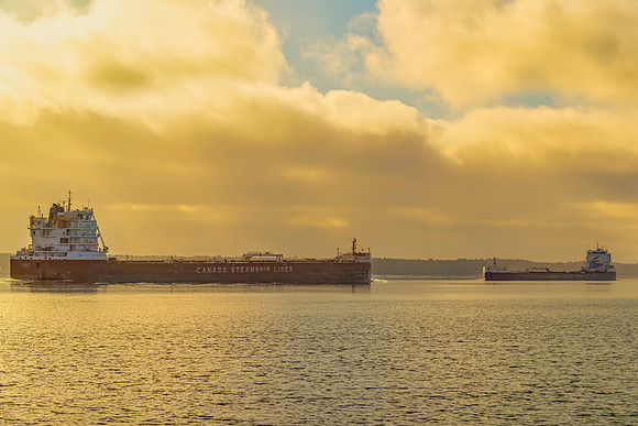 Marine - Ships