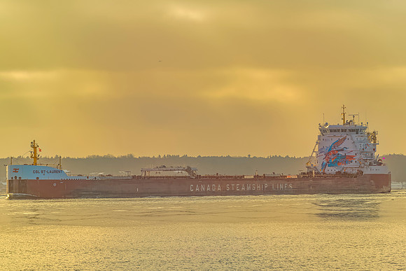 Marine - Ships