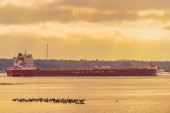 Marine - Ships