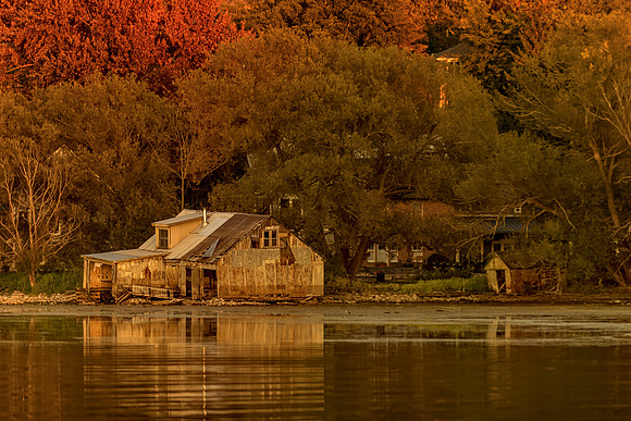 Kingston