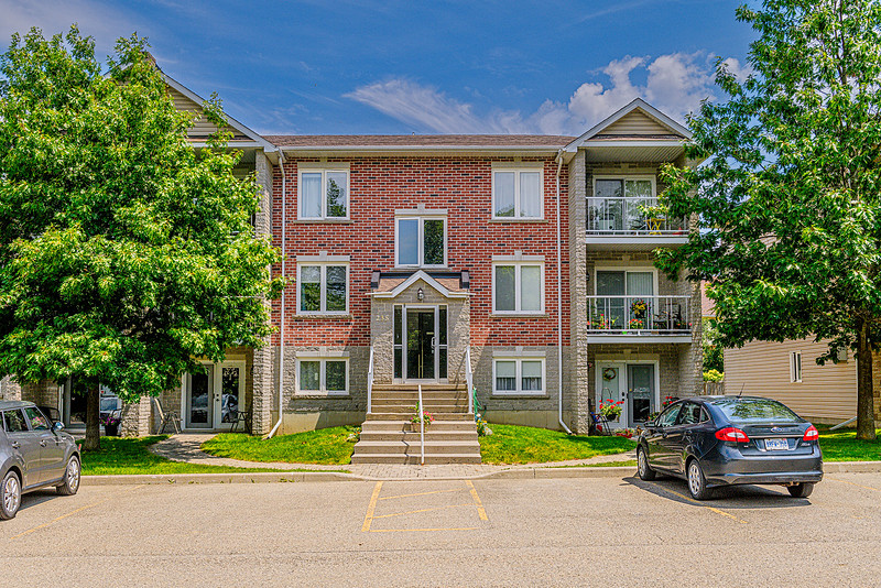 1203-235 Oak