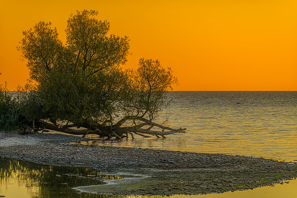 Marine - Harbours & Shores