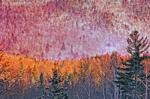Landscapes