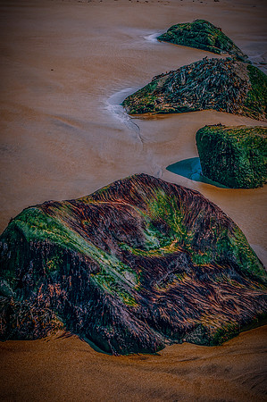 Marine - Harbours & Shores