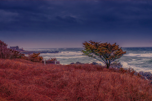 Marine - Harbours & Shores