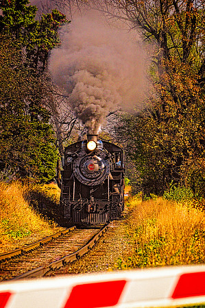 Trains