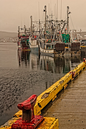 Marine - Harbours & Shores