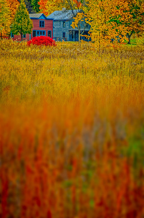 Landscapes