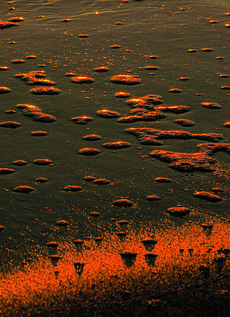 Marine - Water
