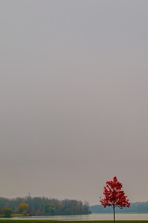 Landscapes