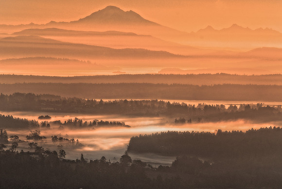 Landscapes