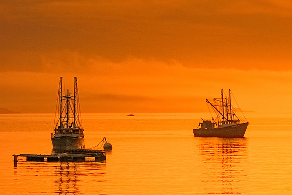 Marine - Harbours & Shores